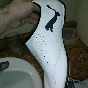 Mens puma